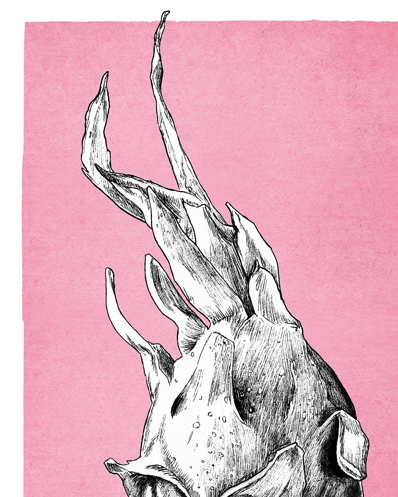 Drachenfrucht Kunstdruck